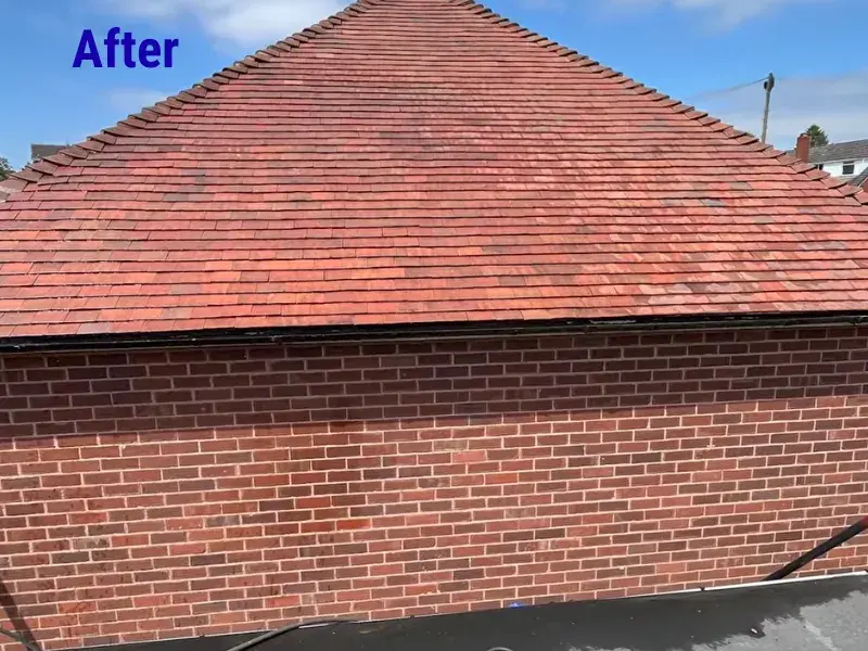 Clean tile roof after professional soft wash roof cleaning in Eugene, OR.