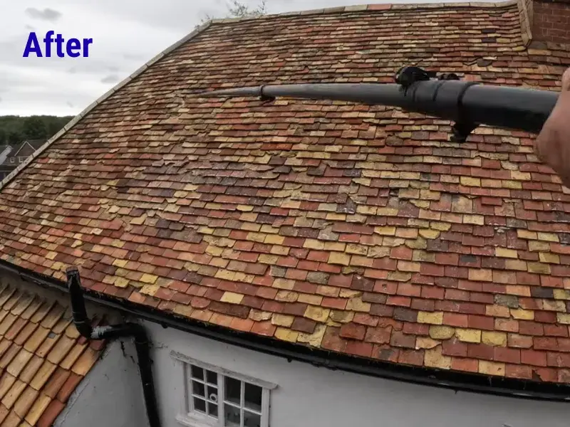Clean tile roof after professional soft wash roof cleaning in Eugene, OR.