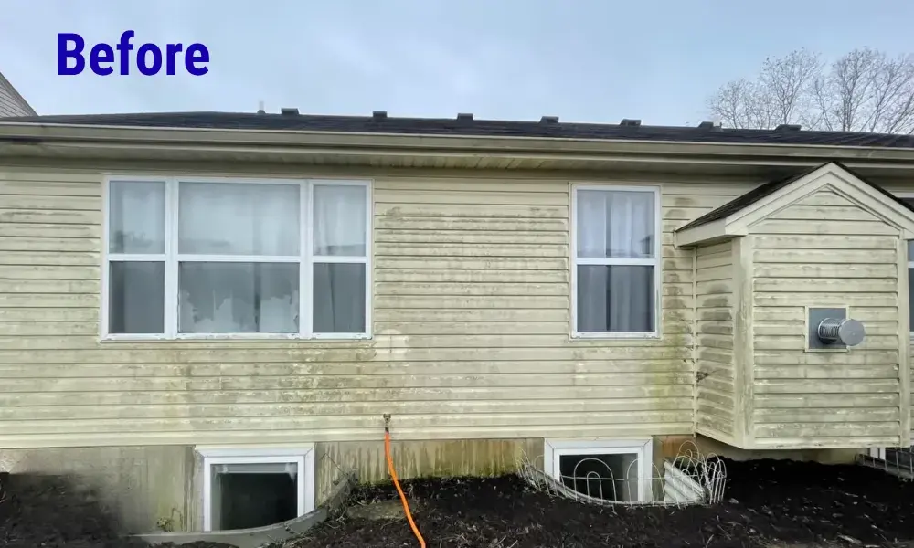Before House Washing Eugene showing vinyl siding covered with algae, mildew, dirt, and organic stains before professional soft washing.