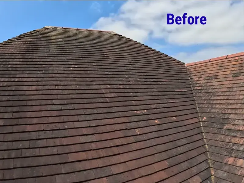 Tile roof with black stains and algae before professional roof cleaning in Eugene, OR.