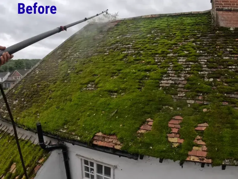 Moss-covered tile roof before professional roof cleaning in Eugene, OR.