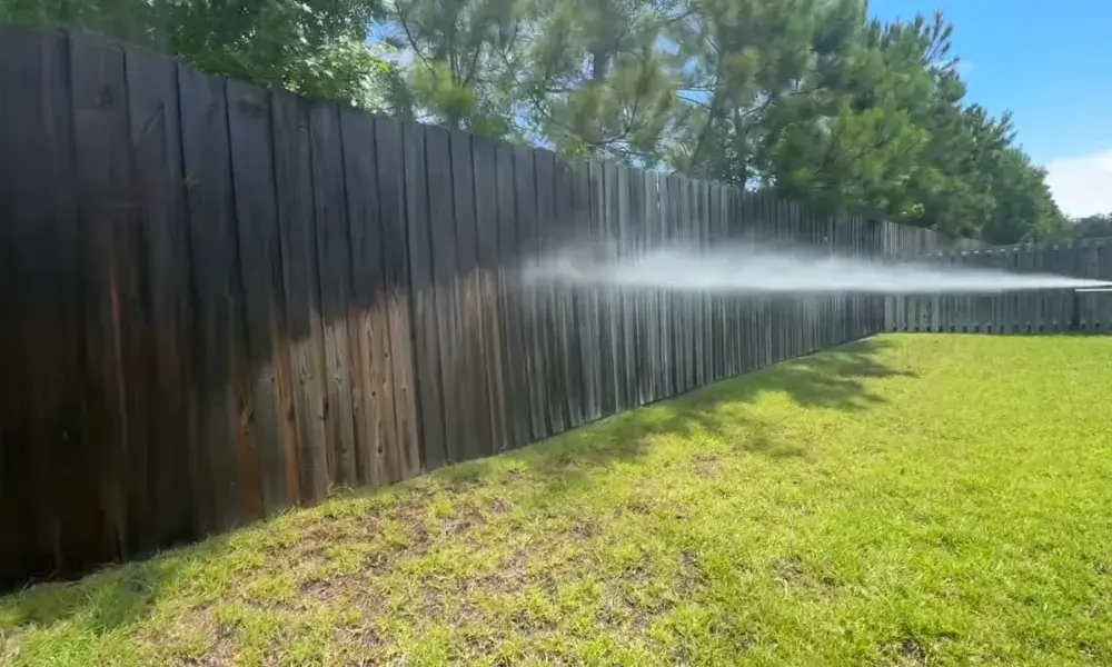 Professional fence cleaning in Eugene using a controlled water spray